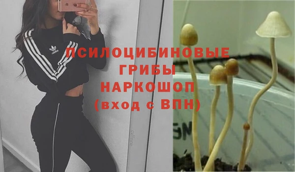 apvp Алексин